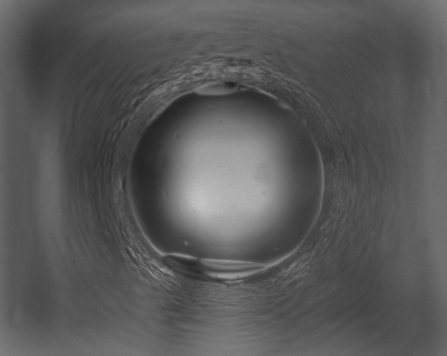 X0000054421489200508011343