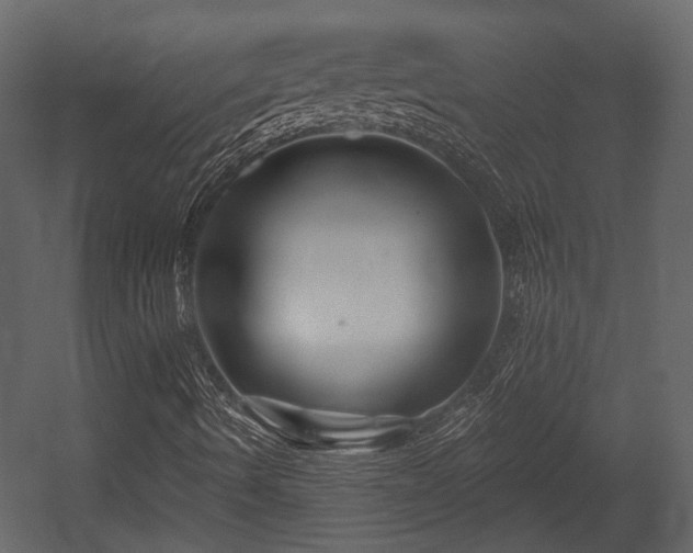 X0000054421490200508011343