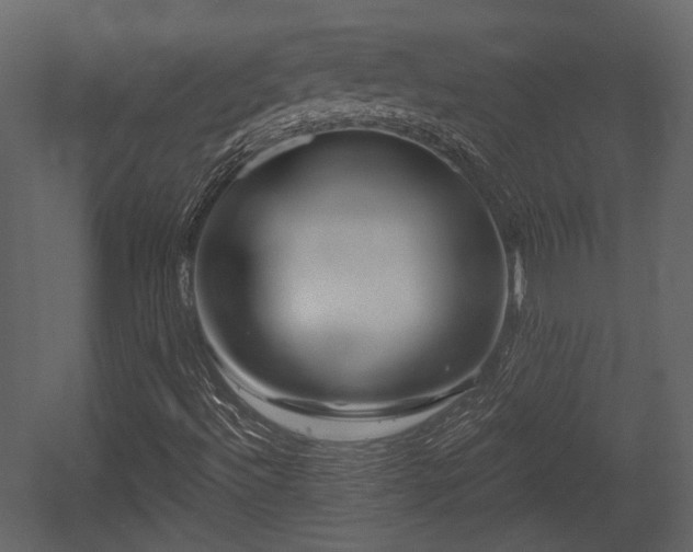 X0000054421492200508011343