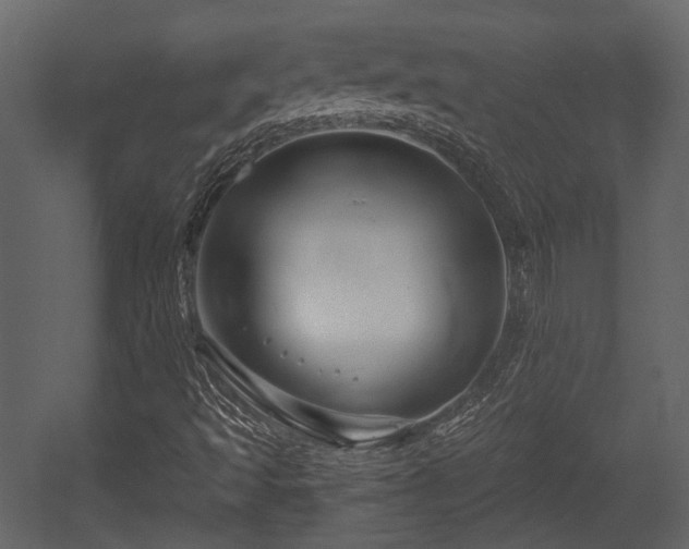 X0000054421493200508011343