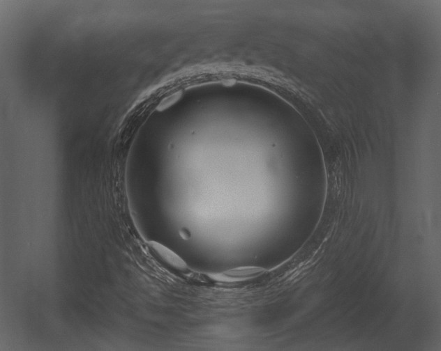 X0000054421494200508011344