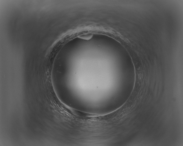 X0000054421495200508011344