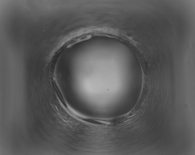 X0000054421496200508011344