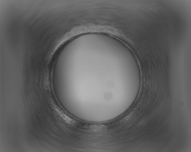 X0000054421498200508011344