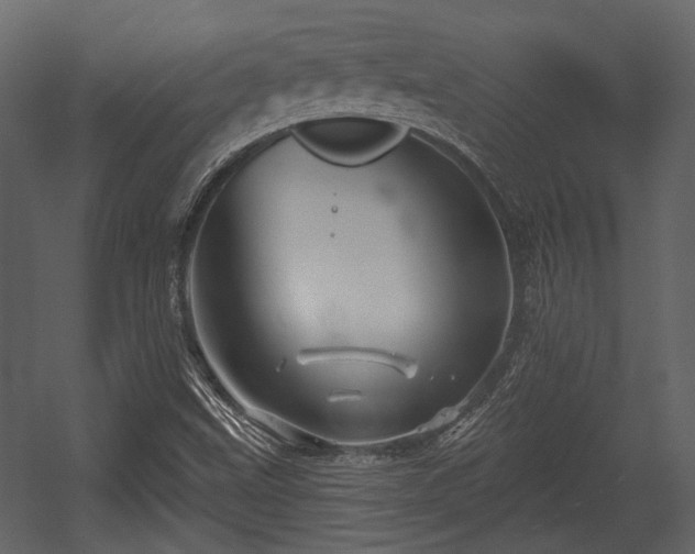 X0000054421499200508011344