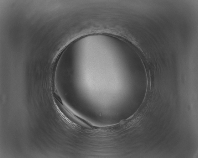 X0000054421500200508011344