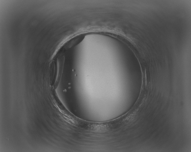 X0000054421501200508011344