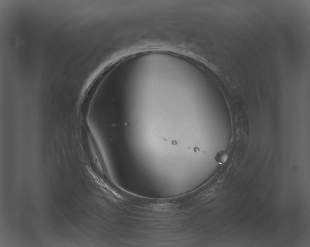 X0000054421502200508011344