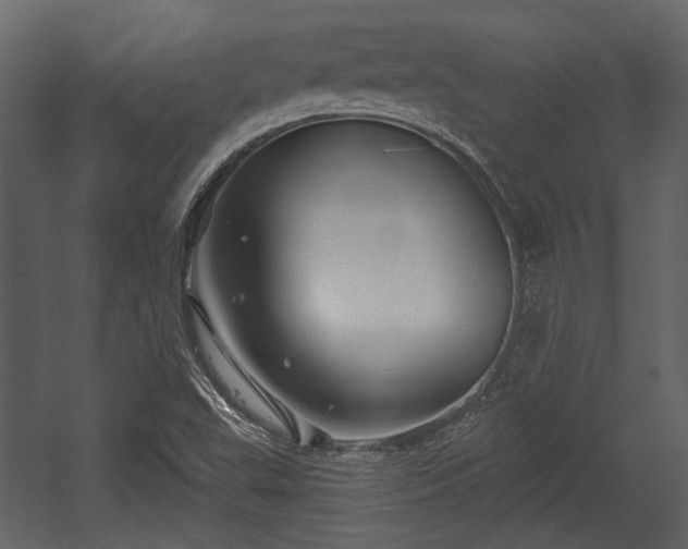 X0000054421503200508011344