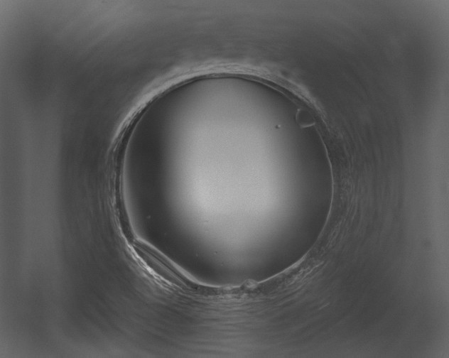 X0000054421504200508011344