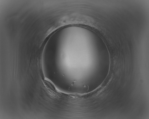 X0000054421505200508011344