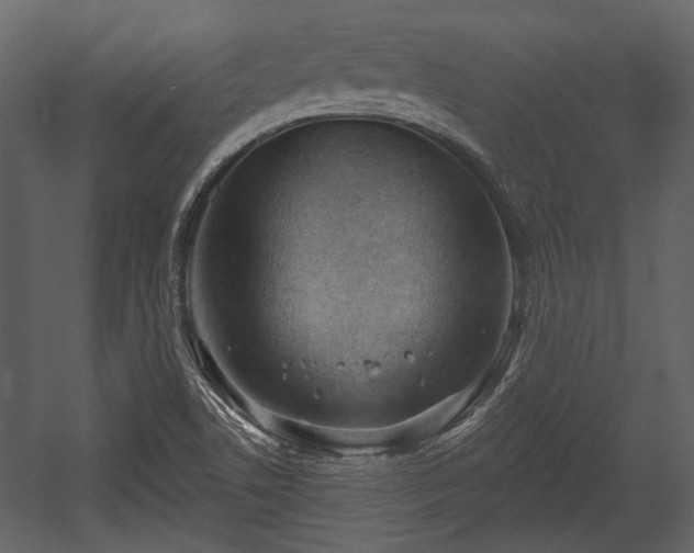 X0000054421506200508011344