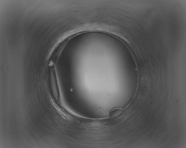 X0000054421507200508011344