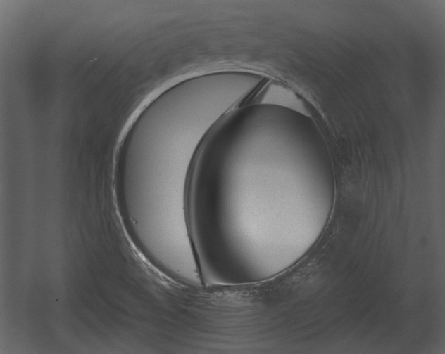 X0000054421508200508011344