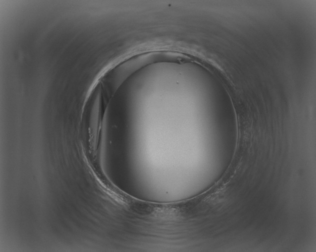 X0000054421509200508011344