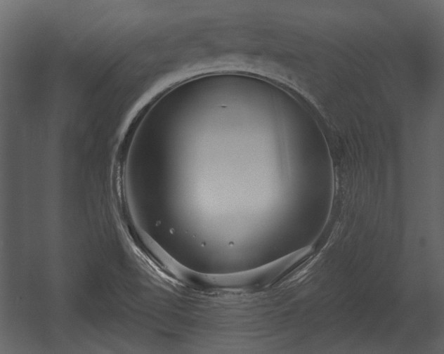 X0000054421510200508011344