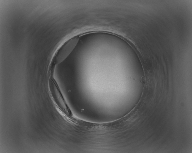 X0000054421511200508011344