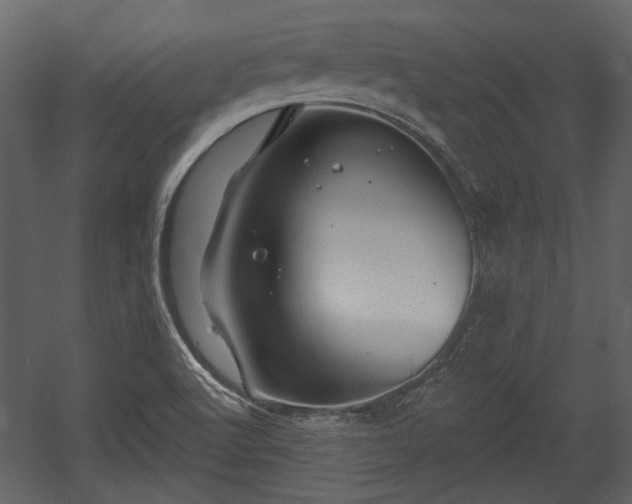 X0000054421512200508011344