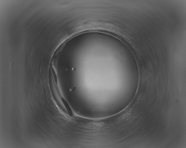 X0000054421513200508011344