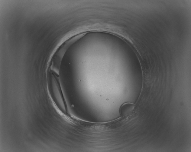 X0000054421515200508011344