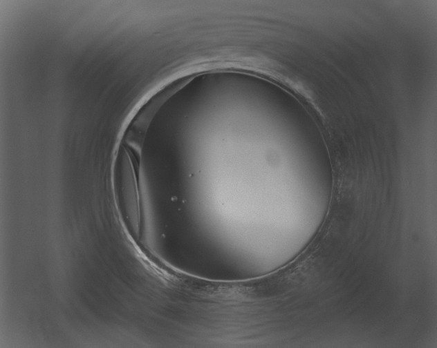 X0000054421516200508011344