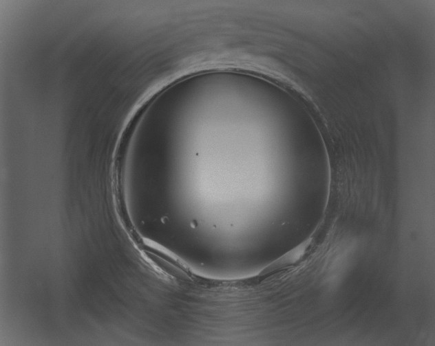 X0000054421517200508011344