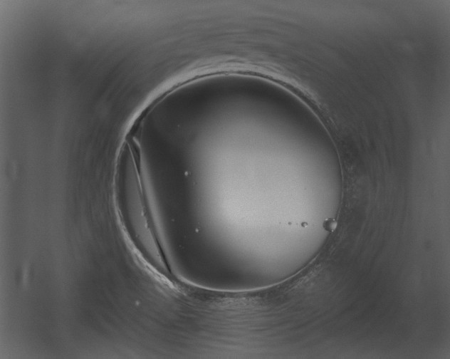 X0000054421518200508011344