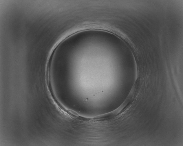 X0000054421520200508011344