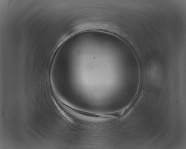 X0000054421521200508011344