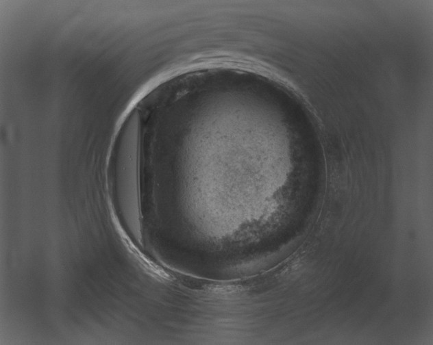 X0000054421522200508011344