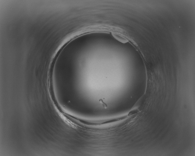 X0000054421523200508011344