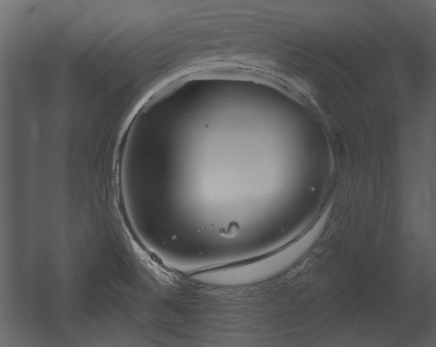 X0000054421524200508011344