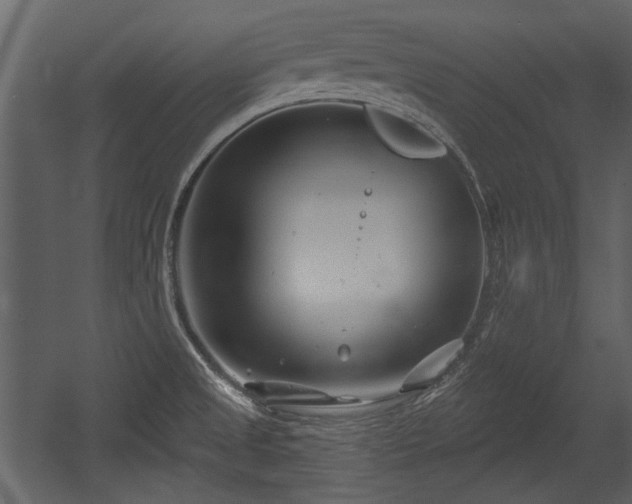 X0000054421525200508011344