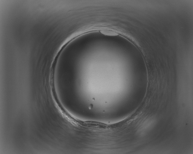 X0000054421526200508011344