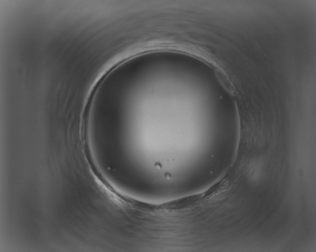 X0000054421527200508011344