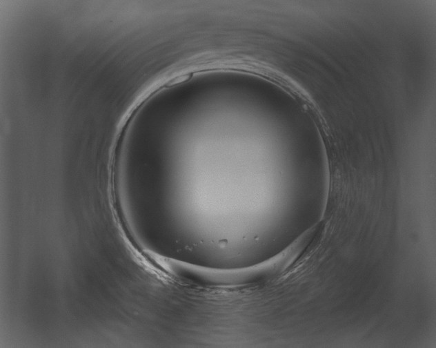 X0000054421528200508011344