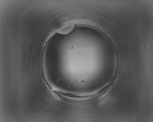 X0000054421529200508011344