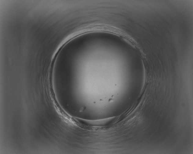 X0000054421530200508011344