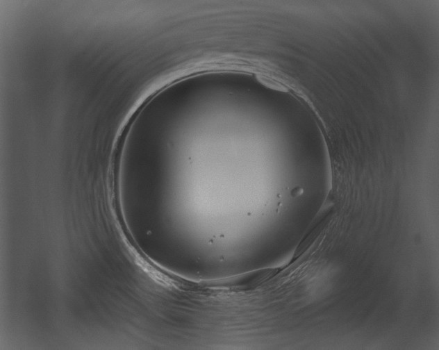 X0000054421531200508011344