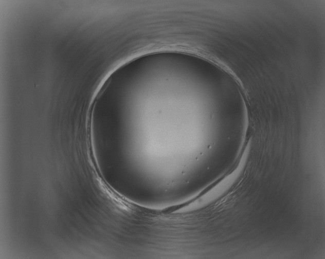 X0000054421532200508011344