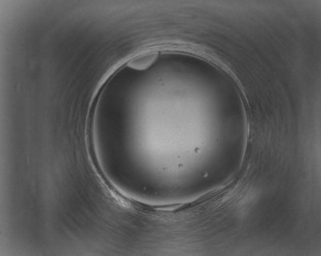 X0000054421533200508011344