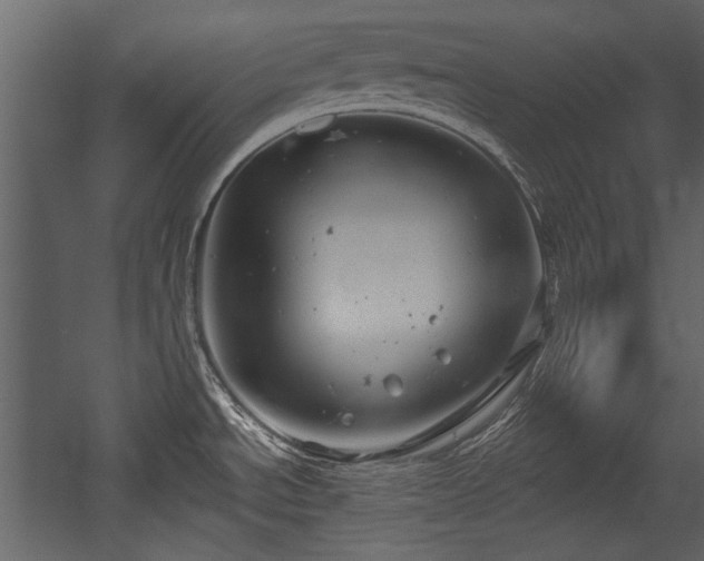 X0000054421534200508011344