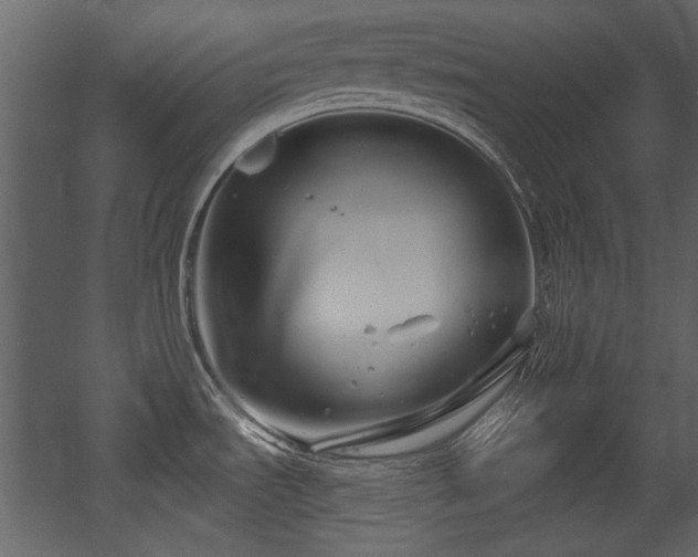 X0000054421535200508011344