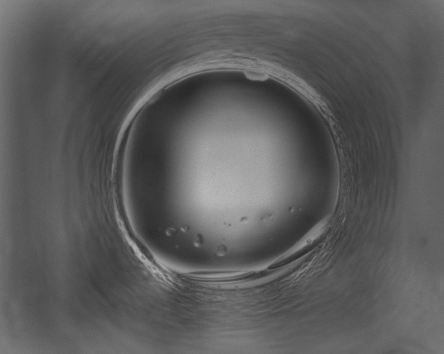 X0000054421536200508011344