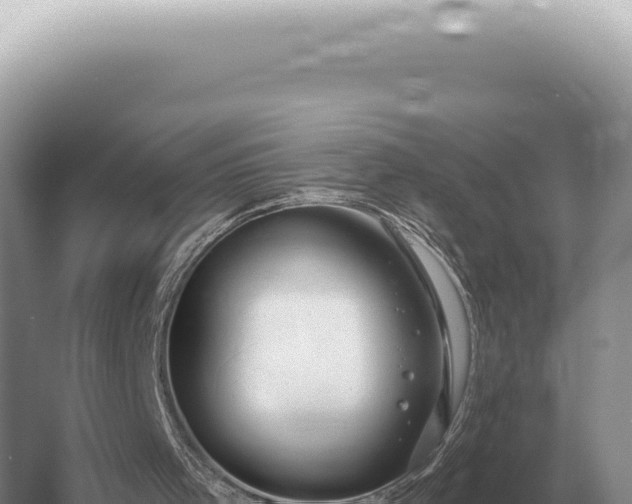 X0000054420001200508051818