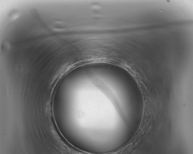 X0000054420002200508051818