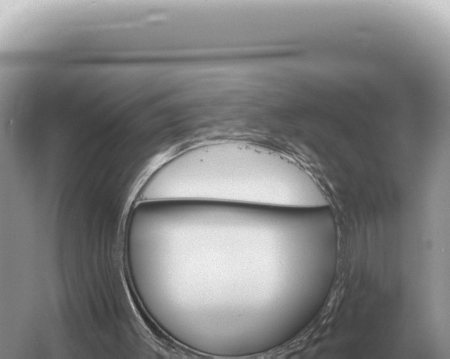 X0000054420003200508051818