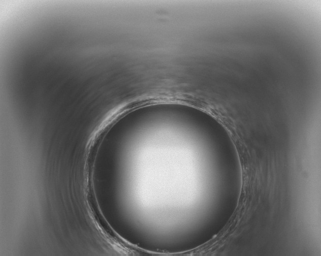 X0000054420005200508051818