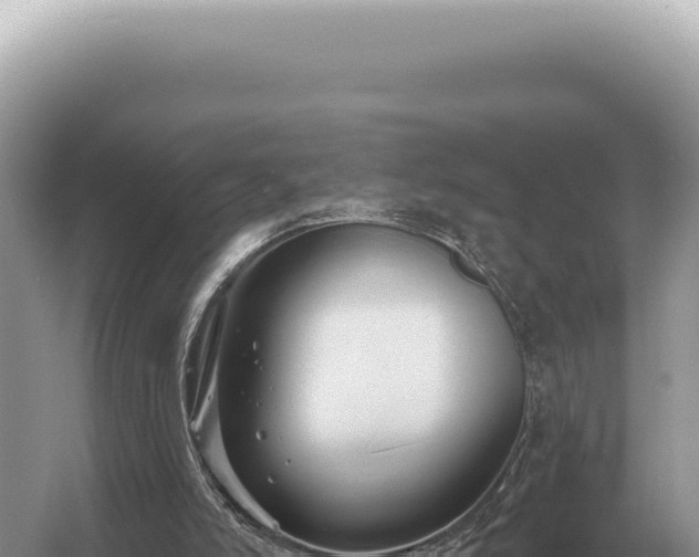 X0000054420006200508051818