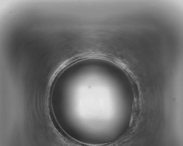 X0000054420007200508051818